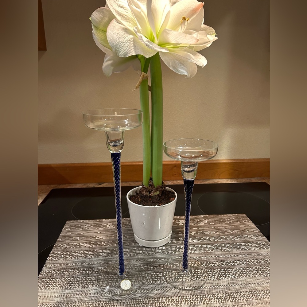 Crystal Clear Cobalt Blue Tall Stem Candle holders. 12” and 10” tall. Set of 2.